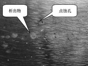正佳博鱼官方网页版_博鱼boyu（中国）